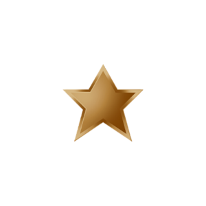 Bronze star, icon for bronze sponsor gala package