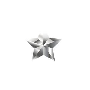 Silver star for platinum gala package logo