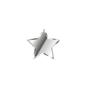 Silver star, icon for star package gala sponsorship